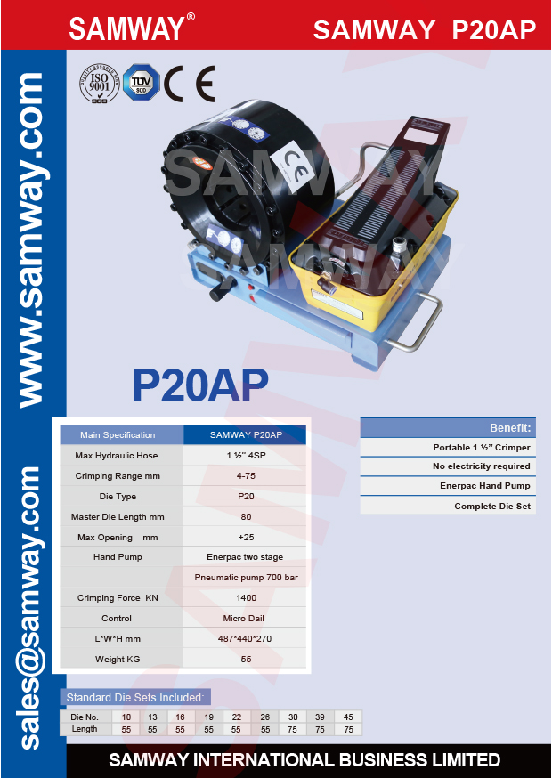 pdf-p20ap-1.jpg